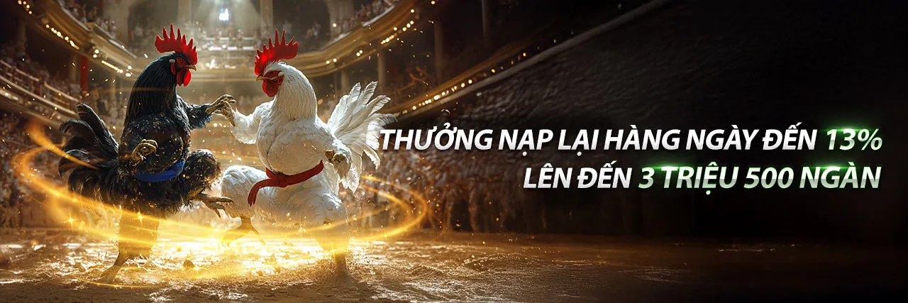 Ứng dụng di động 5mb casino với giao diện hiện đại